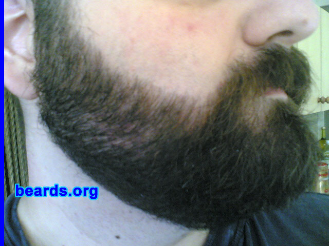 Andrew
Bearded since: 1997. I am a dedicated, permanent beard grower.

Comments:
I started growing my beard basically because I didn't like the general look of my smooth face, but I have always liked any kind of facial hair also on other persons. My grandfathers used to wear a beard and so did my father and my uncles, each one in a typical way that best fit their faces. I started with a simple goatee with no mustache, and experimented with an untrimmed long beard, but finally chose a trimmed full beard: usually with the mustache longer than the rest of the beard. Do you think it fits me well?

How do I feel about my beard? I am happy about my beard because it always gains me some appreciation from people I meet for the first time, who usually say: "Wow, nice beard!".
Keywords: full_beard