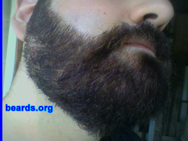 Andrew
Bearded since: 1997. I am a dedicated, permanent beard grower.

Comments:
I started growing my beard basically because I didn't like the general look of my smooth face, but I have always liked any kind of facial hair also on other persons. My grandfathers used to wear a beard and so did my father and my uncles, each one in a typical way that best fit their faces. I started with a simple goatee with no mustache, and experimented with an untrimmed long beard, but finally chose a trimmed full beard: usually with the mustache longer than the rest of the beard. Do you think it fits me well?

How do I feel about my beard? I am happy about my beard because it always gains me some appreciation from people I meet for the first time, who usually say: "Wow, nice beard!".
Keywords: full_beard