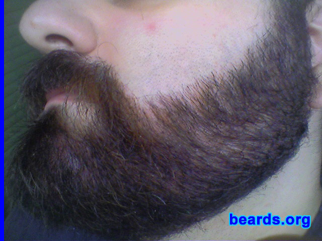 Andrew
Bearded since: 1997. I am a dedicated, permanent beard grower.

Comments:
I started growing my beard basically because I didn't like the general look of my smooth face, but I have always liked any kind of facial hair also on other persons. My grandfathers used to wear a beard and so did my father and my uncles, each one in a typical way that best fit their faces. I started with a simple goatee with no mustache, and experimented with an untrimmed long beard, but finally chose a trimmed full beard: usually with the mustache longer than the rest of the beard. Do you think it fits me well?

How do I feel about my beard? I am happy about my beard because it always gains me some appreciation from people I meet for the first time, who usually say: "Wow, nice beard!".
Keywords: full_beard