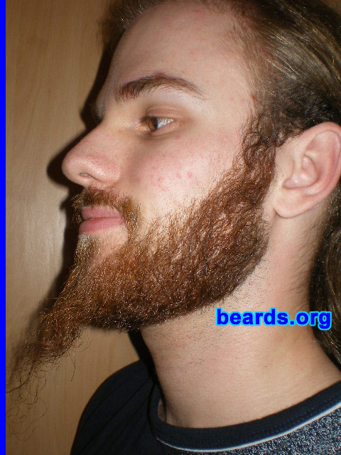 Michael
2008 growth series: day 56

[b]Go to [url=http://www.beards.org/michael.php]Michael's success story[/url][/b].
Keywords: michael_2008_series.1 full_beard