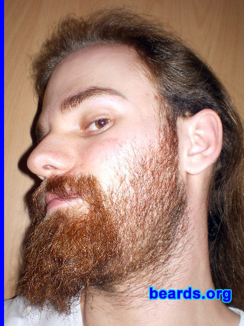 Michael
2010 new beard: day 21

[b]Go to [url=http://www.beards.org/michael.php]Michael's success story[/url][/b].
Keywords: michael20052010 full_beard