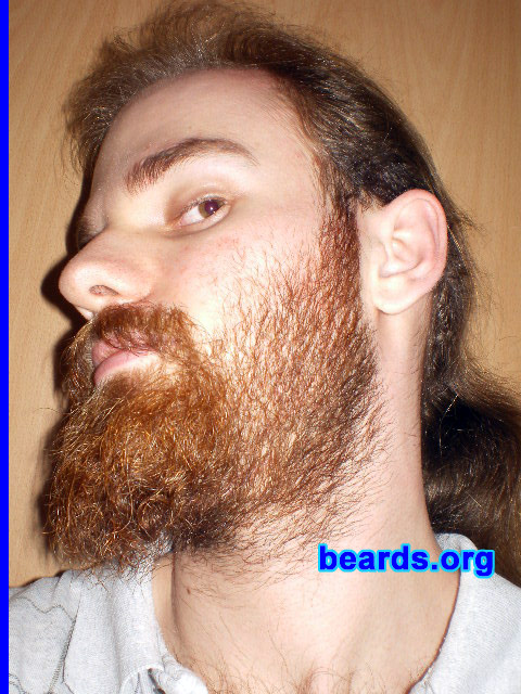 Michael
2010 new beard: day 28

[b]Go to [url=http://www.beards.org/michael.php]Michael's success story[/url][/b].
Keywords: michael20052010 full_beard