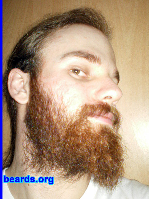 Michael
2010 new beard: day 42

[b]Go to [url=http://www.beards.org/michael.php]Michael's success story[/url][/b].
Keywords: michael20052010 full_beard