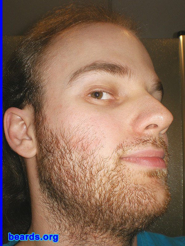 Michael
full beard 2012 growth progress: week two

[b]Go to [url=http://www.beards.org/michael.php]Michael's success story[/url][/b].
Keywords: Michael.2012.full full_beard