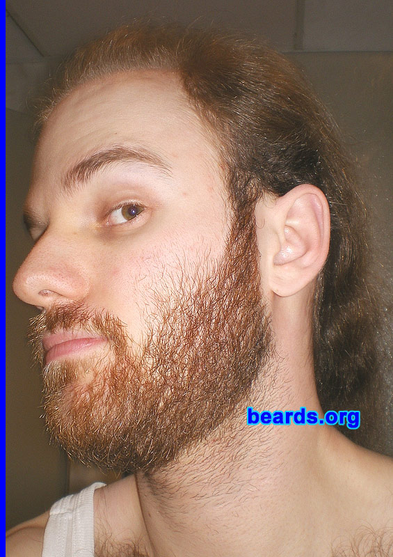 Michael
full beard 2012 growth progress: week five

[b]Go to [url=http://www.beards.org/michael.php]Michael's success story[/url][/b].
Keywords: Michael.2012.full full_beard