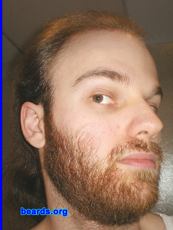 Michael
full beard 2012 growth progress: week five

[b]Go to [url=http://www.beards.org/michael.php]Michael's success story[/url][/b].
Keywords: Michael.2012.full full_beard