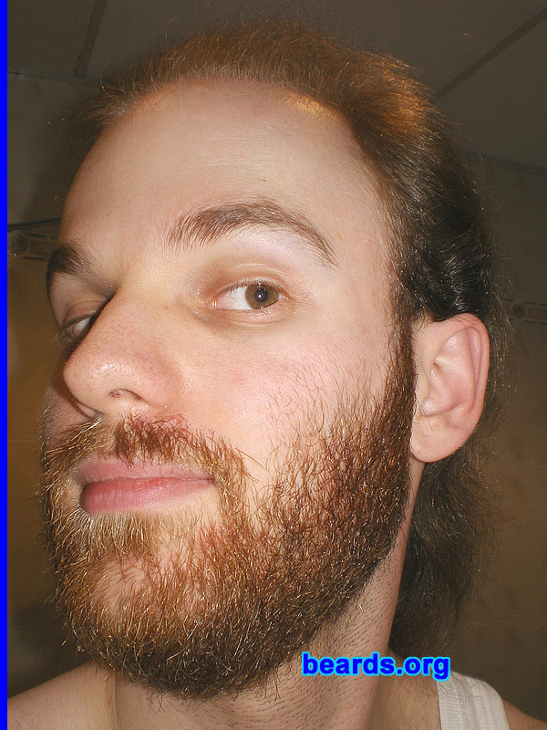 Michael
full beard 2012 growth progress: week six

[b]Go to [url=http://www.beards.org/michael.php]Michael's success story[/url][/b].
Keywords: Michael.2012.full full_beard