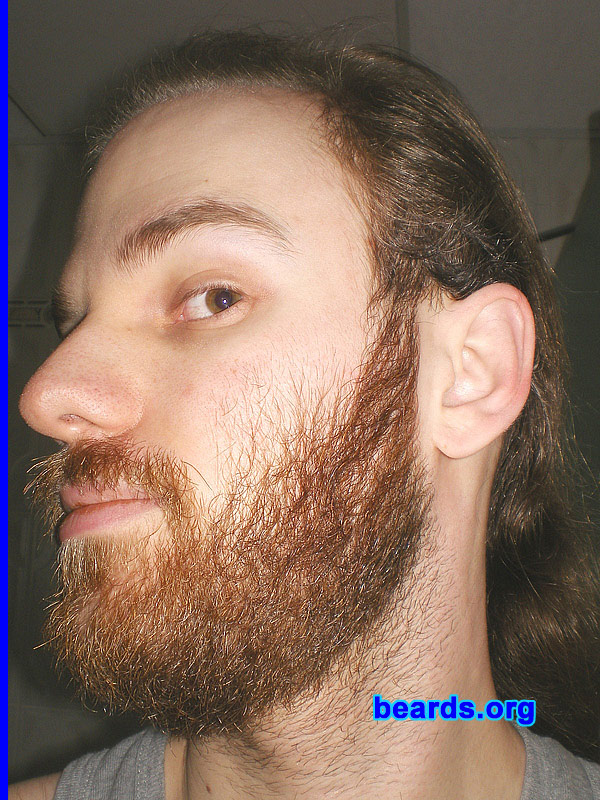 Michael
full beard 2012 growth progress: week seven

[b]Go to [url=http://www.beards.org/michael.php]Michael's success story[/url][/b].
Keywords: Michael.2012.full full_beard