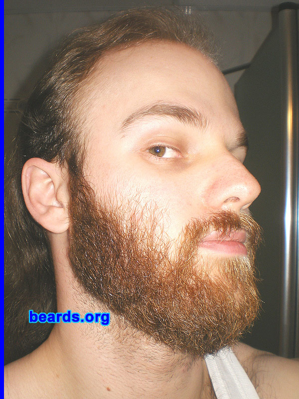 Michael
full beard 2012 growth progress: week ten

[b]Go to [url=http://www.beards.org/michael.php]Michael's success story[/url][/b].
Keywords: Michael.2012.full full_beard