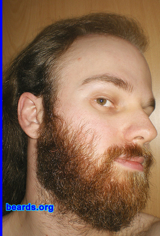 Michael
full beard 2012 growth progress: week twelve

[b]Go to [url=http://www.beards.org/michael.php]Michael's success story[/url][/b].
Keywords: Michael.2012.full full_beard