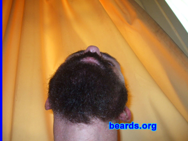 Pete
Bearded since: 1990. I am a dedicated, permanent beard grower.

Comments:
I grew my beard because I love the look and feel of a beard. Have always liked beards.

How do I feel about my beard? It's great.   I am wanting to get it to a decent length.
Keywords: full_beard
