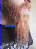 beard023013.jpg