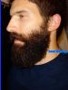 beard024017.jpg