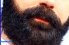 beard025024.jpg
