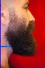 Filename=beard032113.jpg
Filesize=181KiB
Dimensions=600x900
Date added=May 30, 2012 beard032113.jpg