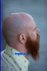 beard037017.jpg
