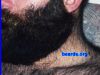 Filename=beard1015.jpg
Filesize=103KiB
Dimensions=640x480
Date added=Jun 22, 2008 beard1015.jpg