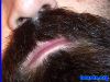 beard4022.jpg
