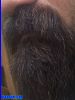 Filename=beard4033.jpg
Filesize=122KiB
Dimensions=600x800
Date added=Aug 26, 2006 beard4033.jpg