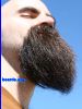 beard4061.jpg