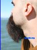 beard4062.jpg