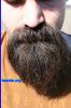 beard4074.jpg