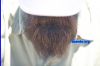 Filename=beard4089.jpg
Filesize=120KiB
Dimensions=900x600
Date added=Aug 31, 2007 beard4089.jpg