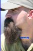 Filename=beard4091.jpg
Filesize=217KiB
Dimensions=600x900
Date added=Aug 31, 2007 beard4091.jpg