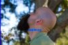 Filename=beard4103.jpg
Filesize=103KiB
Dimensions=900x600
Date added=Apr 29, 2008 beard4103.jpg