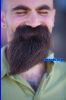 Filename=beard4106.jpg
Filesize=87KiB
Dimensions=600x900
Date added=Apr 29, 2008 beard4106.jpg