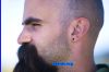 Filename=beard4107.jpg
Filesize=117KiB
Dimensions=900x600
Date added=Apr 29, 2008 beard4107.jpg