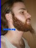 Filename=michael072.jpg
Filesize=86KiB
Dimensions=480x640
Date added=Oct 19, 2008 michael072.jpg