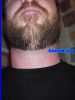 Filename=uswid002003.jpg
Filesize=87KiB
Dimensions=480x640
Date added=Feb 02, 2007 uswid002003.jpg