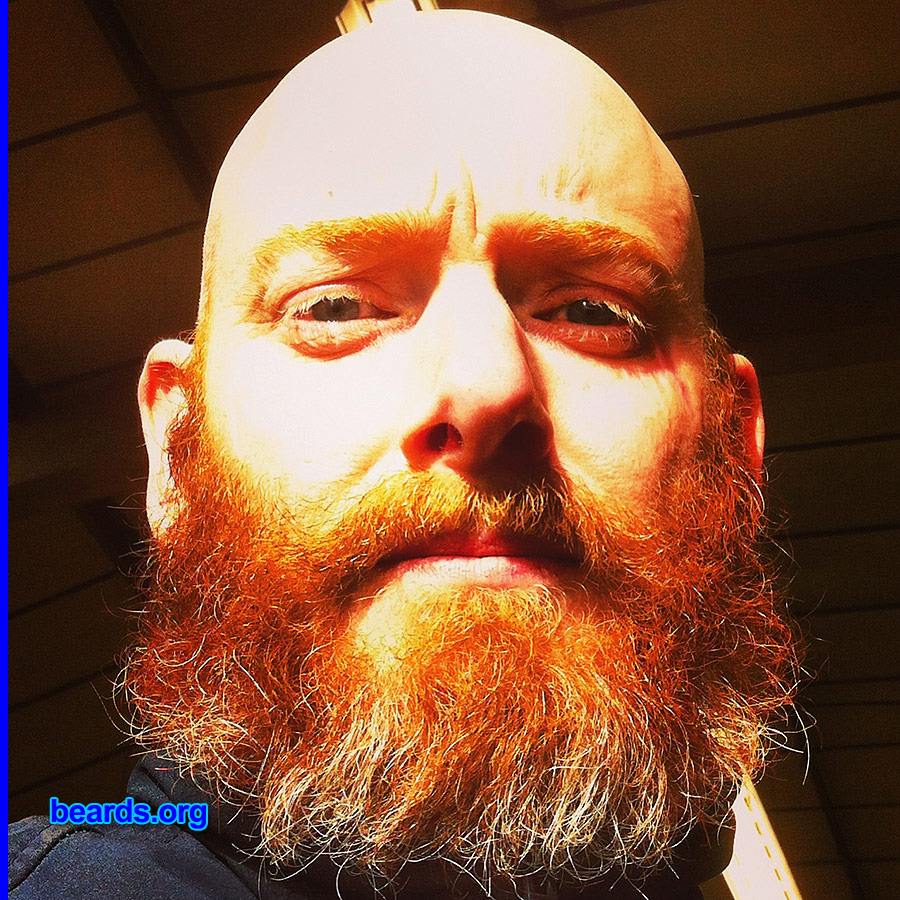 Jim
Bearded since: 2013. I am a dedicated, permanent beard grower.

Comments:
Why did I grow my beard? Feels right. Natural.

How do I feel about my beard? Very proud. Red beards look stunning. Very proud of my red hair and the fact that I also have two ginger sons to follow in my beard footsteps.
Keywords: full_beard