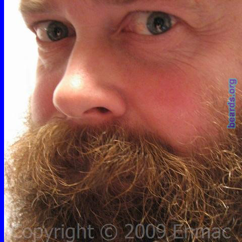 Nigel
Bearded since: 2006.  I am a dedicated, permanent beard grower.

Comments:
I grew my beard because I feel happier with the way I look bearded. I always wanted a full beard from a young age but didn't think I couldn't grow one. In November 2006 I finally discovered I could!

How do I feel about my beard?  Overall, I'm happy.  But if I'm being critical, the curliness makes grooming extremely difficult and disguises its true length. My strongest feature is the mustache, but I feel the beard could be thicker.
Keywords: full_beard