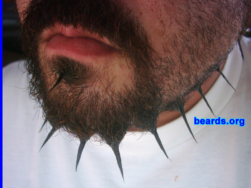Cesar G.
Bearded since: 2007.  I am an occasional or seasonal beard grower.

Comments:
I grew my beard because of a stupid New Year's resolution that, by two months, was starting to drive me crazy.

How do I feel about my beard?  After two months, it was driving me nuts and it was still too short to start braiding.   So one night, I had some mustache wax and was really bored. The outcome was a spiked beard.  The [url=http://www.beards.org/images/displayimage.php?pos=-2342]first photo[/url] was the first outcome.  After a while, I turned it into a jaw strap with goatee, continuing the spiking.   The way I get it to hold is to form it with mustache wax by grabbing some hair and twisting it.  Then to, get a tight clean spike, I repeat the process with a dab of hair glue.  The finished product is a tight, hard spike that holds all day.  Since these photos were taken, I also spike the patch under my lip.  The kryptonite for this beard is sweat and getting wet.

Update: The beardguy here asked if i could get some better shots of my beard for the site, so here you are: a before, after and closeup of the finished product.  This photo: closeup.
Keywords: full_beard