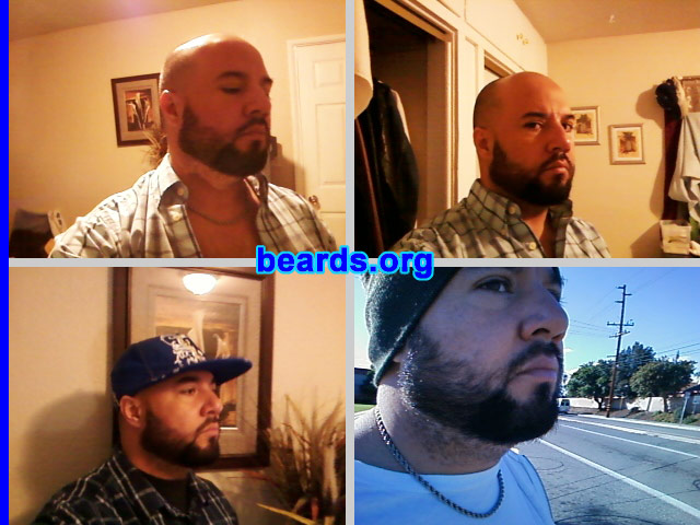 Martin L.
Bearded since: 2009. I am an experimental beard grower.

Comments:
I grew my beard because I like how it looks.

How do I feel about my beard? Great. 
Keywords: full_beard