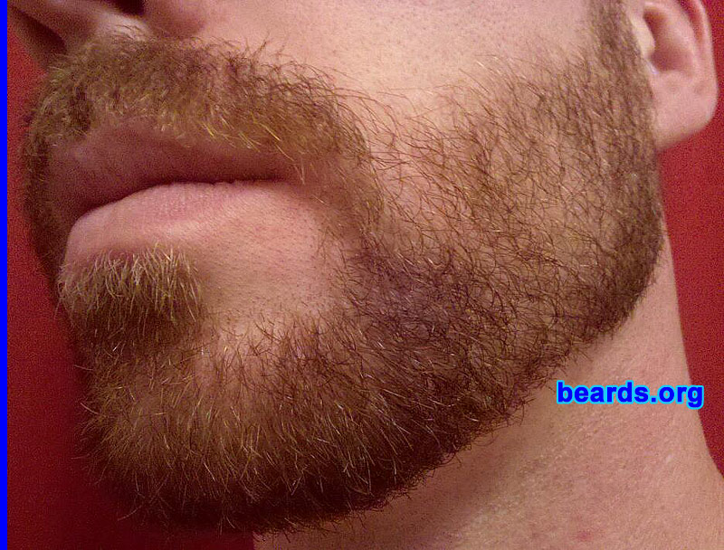 Michael W.
Bearded since: 2010.  I am a dedicated, permanent beard grower.

Comments:
I grew my beard because I now work at a place that allows facial hair. (I've been dying to grow one for years!)

How do I feel about my beard?  Can't wait 'til it's longer.  I love it!

These photos are at three weeks of growth.
Keywords: full_beard