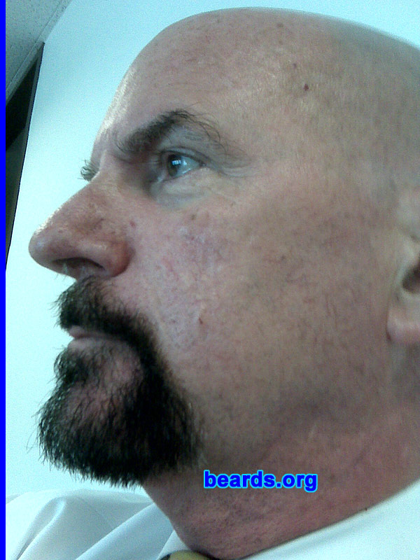 Paul
Bearded since: 2009.  I am an experimental beard grower.

Comments:
I'm experimenting to see if the goatee and mustache adds balance to my appearance since I shaved my head due to male pattern baldness. I have had full beards in the past, more than twenty years ago, but for my purposes the ending of a full beard and the beginning of a shaved head are hard to reconcile.

How do I feel about my beard? I like the feel of the beard as it has gotten longer. I would prefer to have it a little more dense, but I don't have the genetic makeup. I hope as it matures it will appear more dense than it actually is. I'm pleasantly surprised at the positive responses I've gotten to the "goat" and I'm going to let it mature for a couple of more months before I decide what I will do for the long term. Eating is a mess and that's been the major problem to get around. Otherwise, it's okay.
Keywords: goatee_mustache