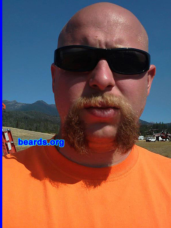 Brandon Helmer
Bearded since: 2000. I am a dedicated, permanent beard grower.

Comments:
I grew my beard because I like having a beard of some sort.

How do I feel about my beard? Pretty good.
Keywords: horseshoe